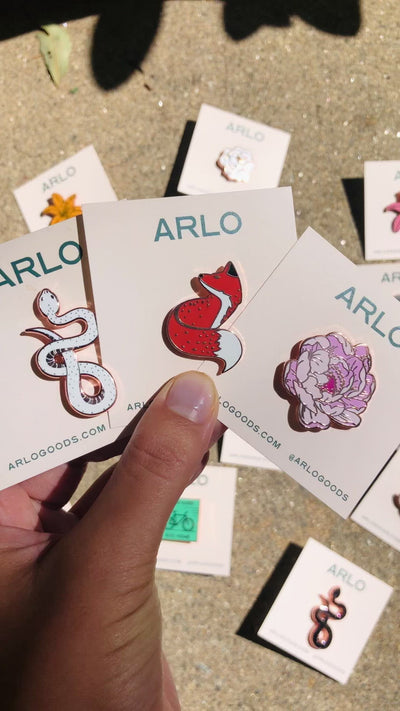 Mystery Pin Pack